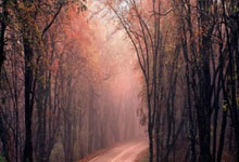 曼塞尔夺得新加坡精英赛冠军!李昊桐T9,丁文一T14!.