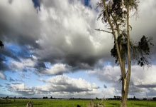 小申带的蛮好的...申台龙上轮2-0沙特惨遭开除,克鲁伊维特现惨败.