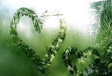 永远的黑曼巴!洛杉矶官方晒照祝科比生日快乐.