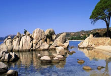 [台球]斯诺克球员锦标赛 特鲁姆普晋级八强.